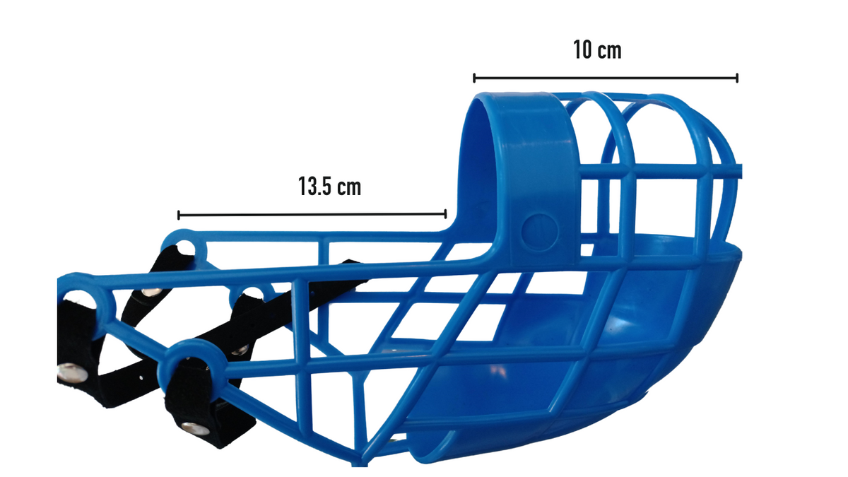 Greyhound 2024 kennel muzzle