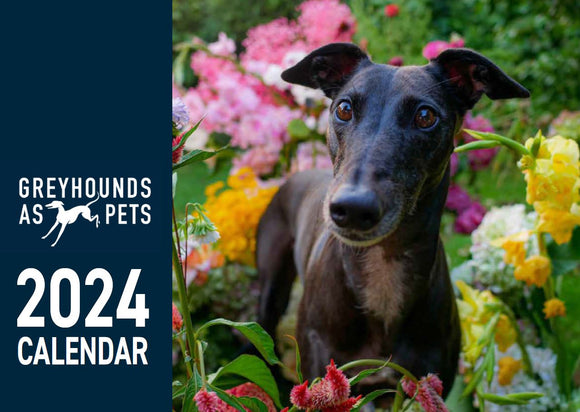 Greyhounds as Pets Calendar