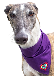 NEW! Bandana/Scarf - Colourful Heart