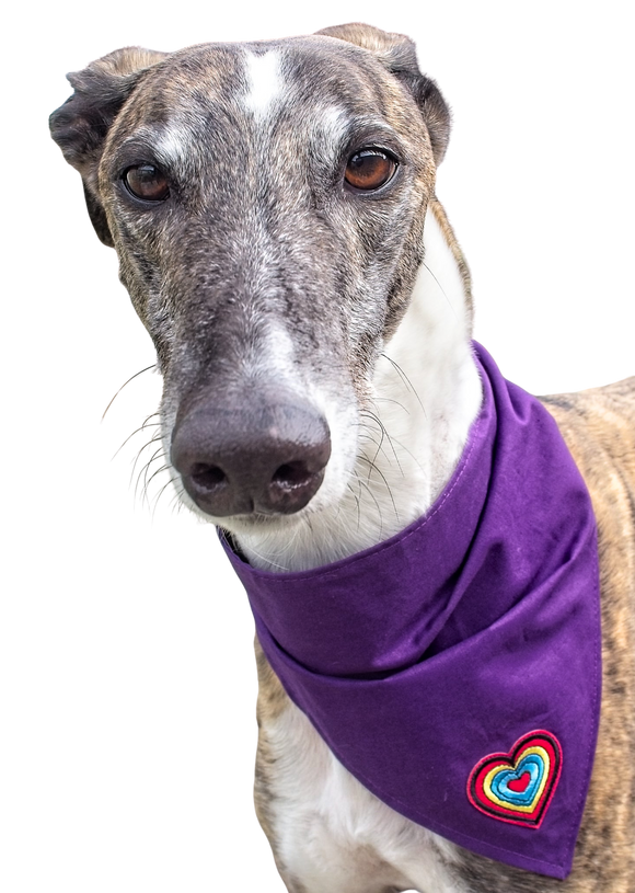 NEW! Bandana/Scarf - Colourful Heart