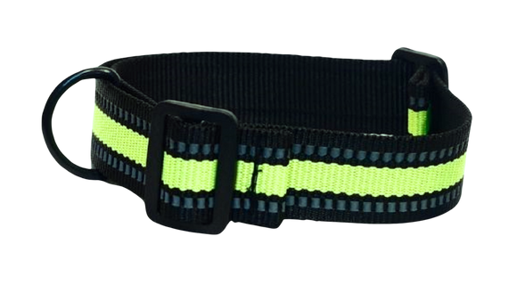 Black and Green Tag Collar- ON SALE - now $12