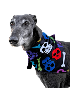 NEW! Colourful Skulls & Bones - Bandanna/Scarf