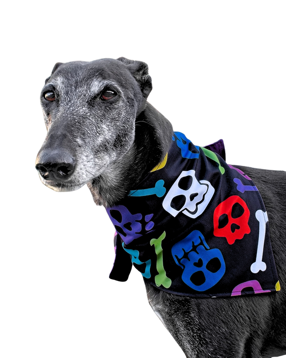 NEW! Colourful Skulls & Bones - Bandanna/Scarf