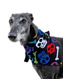 NEW! Colourful Skulls & Bones - Bandanna/Scarf