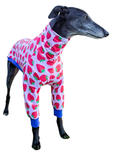 NEW! Strawberries Long Sleeved Greyhound T-shirt