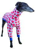 NEW! Strawberries Long Sleeved Greyhound T-shirt