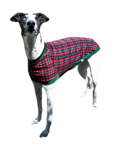 NEW! Red & Green Tartan Greyhound T-Shirt