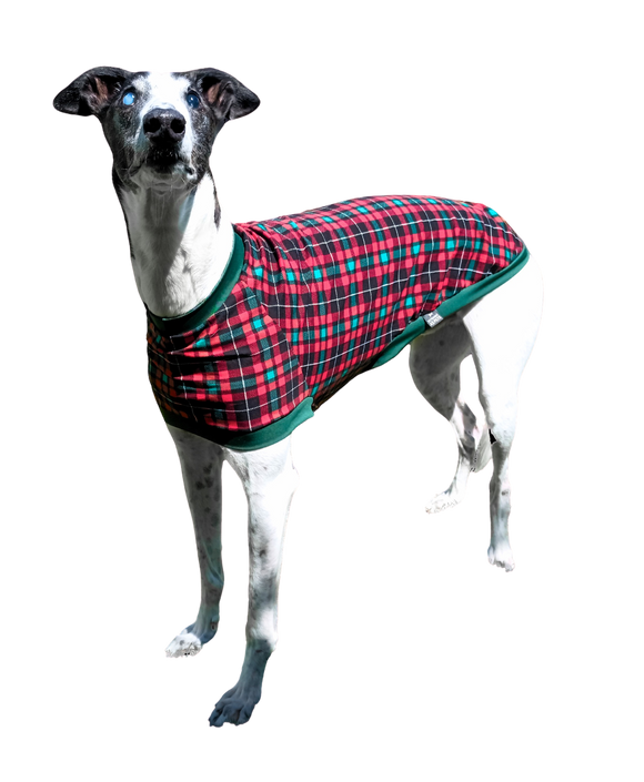 NEW! Red & Green Tartan Greyhound T-Shirt