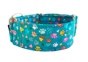 NEW! Teal with Colourful Paw Prints 2" Collar