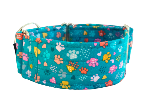 NEW! Teal with Colourful Paw Prints 2