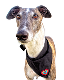 NEW! Bandana/Scarf - Colourful Heart