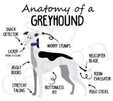Anatomy of a Greyhound Mug - White Hound