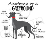 Anatomy of a Greyhound Mug - Dark Grey Hound