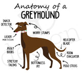 Anatomy of a Greyhound Mug - Brown Hound