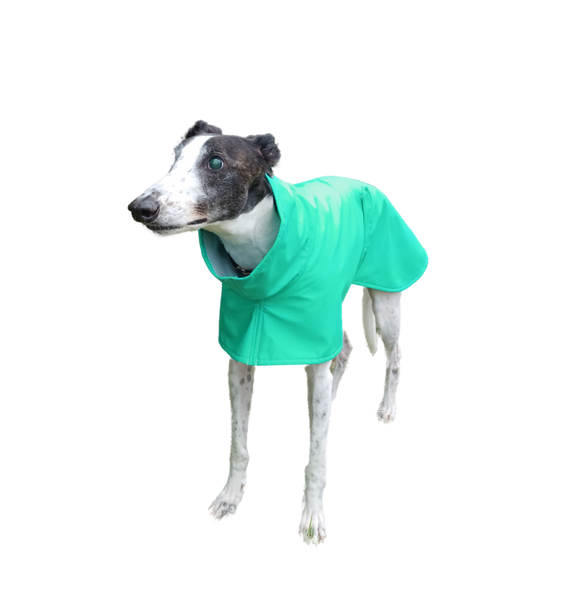Pastel Green Raincoat