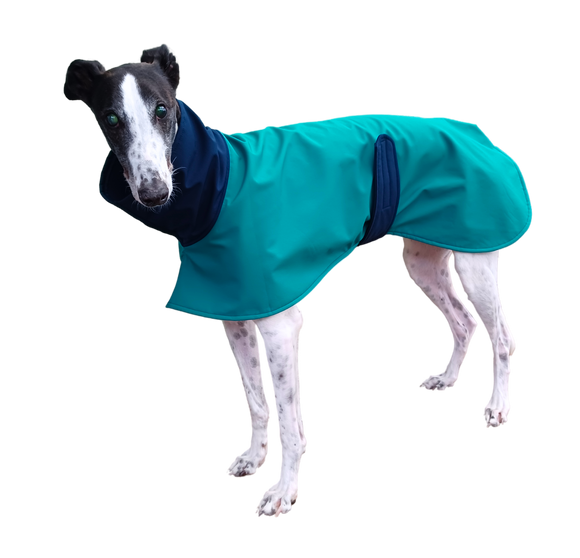 Two-Tone Teal & Navy Raincoat