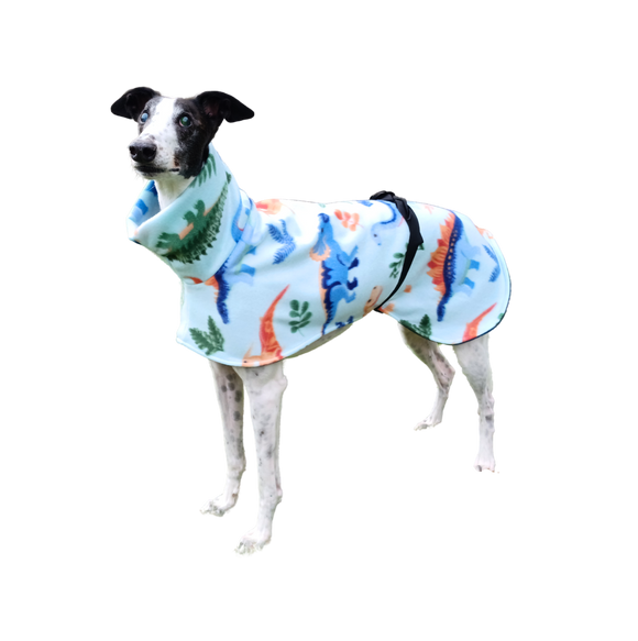 Dinosaurs Teal - Double Layer Fleece