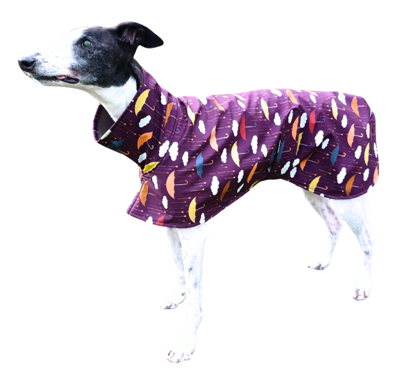 NEW! Purple Umbrellas - European Softshell Raincoat - PREORDER