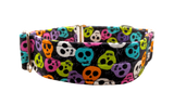 NEW LIMITED EDITION! Black with Colourful Skulls 1.5" Collar