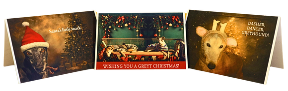 NEW! Greyhound Christmas Cards - Cathy Dee Photography PREORDER
