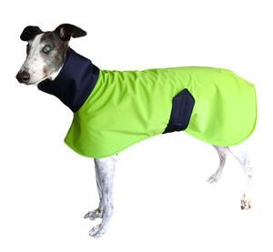 Two Tone Green & Navy Raincoat