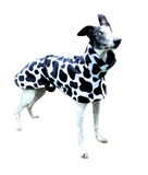 Moo Cow  - Single Layer Fleece