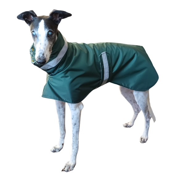 NEW! Forest Green Waterproof Raincoat