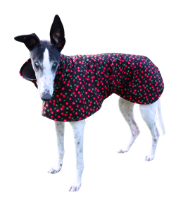 NEW! Cherries! - European Softshell Raincoat LIMITED EDITION