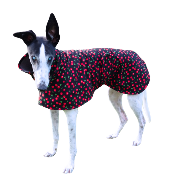 NEW! Cherries! - European Softshell Raincoat LIMITED EDITION