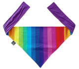 Bandana/Scarf - Rainbow Stripes