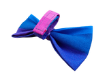 NEW! Bow Tie - Blue/Purple Rainbow Stripes