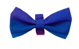NEW! Bow Tie - Blue/Purple Rainbow Stripes
