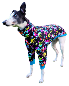 NEW! Colourful Skulls Long Sleeved Greyhound T-shirt