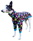 NEW! Colourful Skulls Long Sleeved Greyhound T-shirt