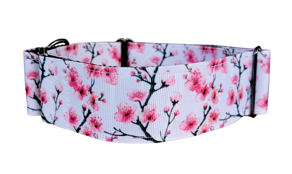 NEW! Cherry Blossom 1.5