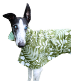 NEW Green Fern Deluxe Canvas Raincoat - LIMITED EDITION