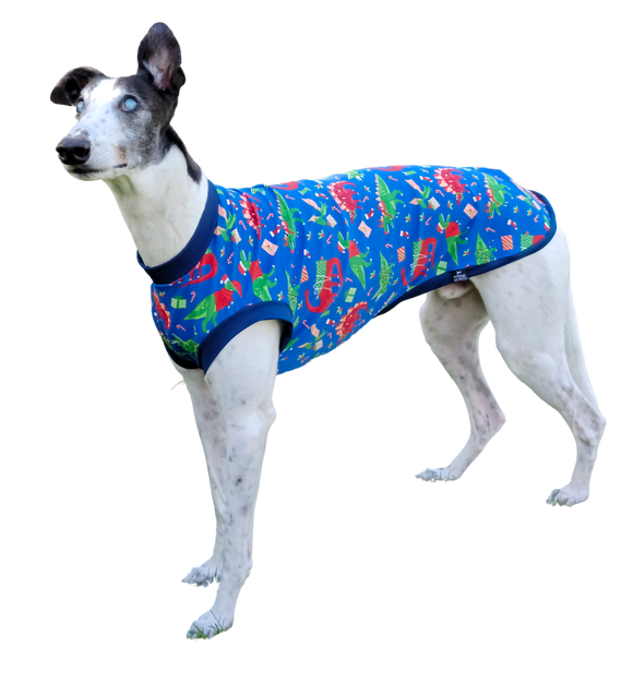 NEW DESIGN! Summer T-Shirt - Christmas Dinosaurs