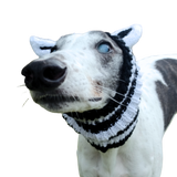 NEW! Zebra Hat/Snood