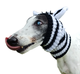 NEW! Zebra Hat/Snood