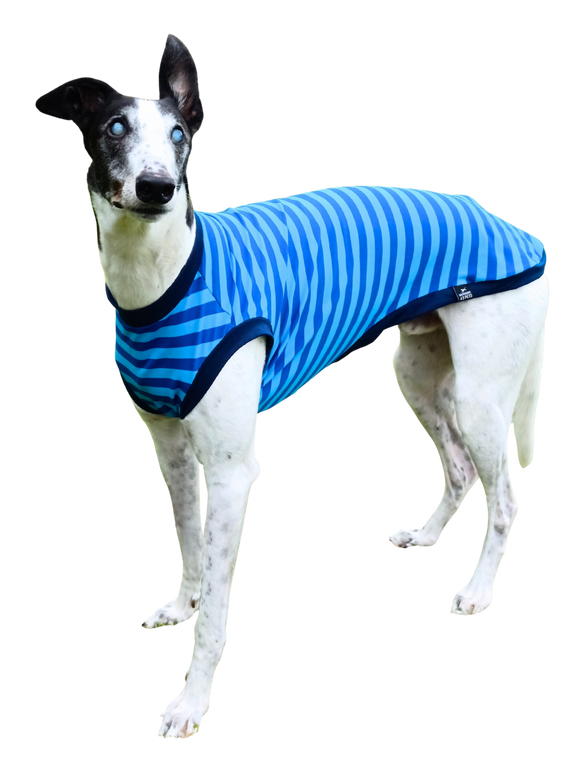 NEW DESIGN! Summer T-Shirt - Blue Stripes