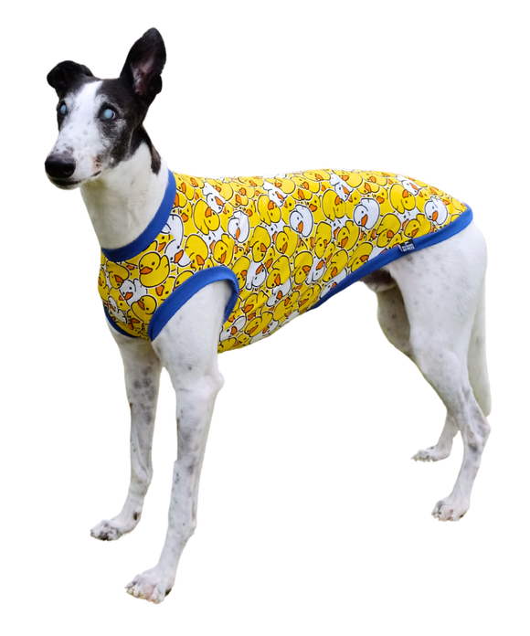 NEW DESIGN! Summer T-Shirt - Yellow Duckies!