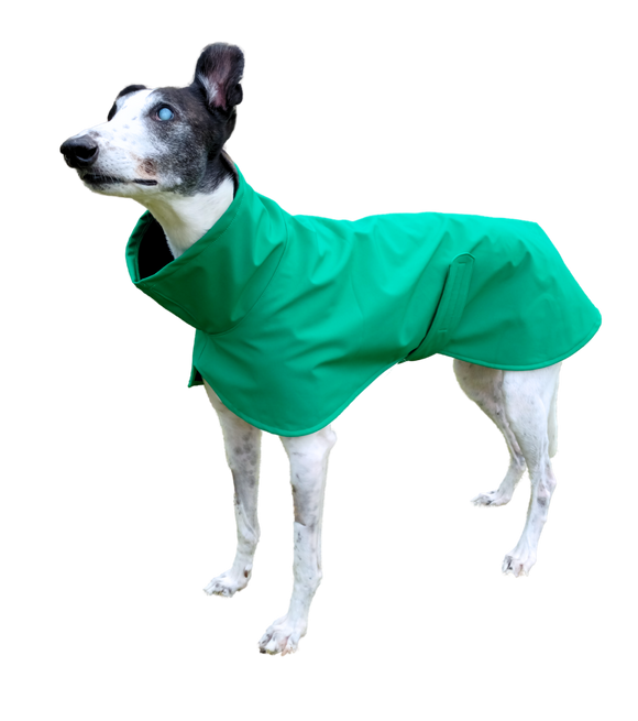 NEW DESIGN! Green Raincoat (Limited Edition)