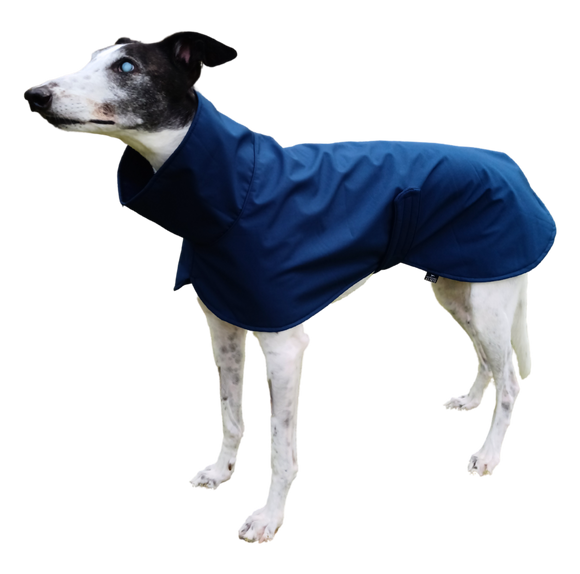 NEW DESIGN! Navy Blue Raincoat