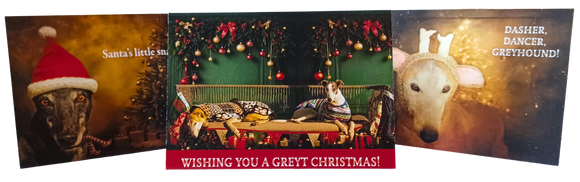 NEW! Greyhound Christmas Cards - Cathy Dee Photography