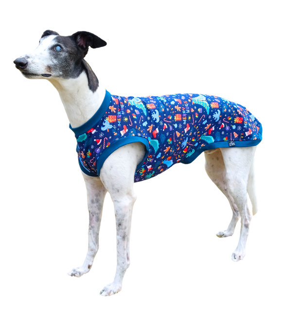 🎄Summer T-Shirt - Merry Dino Hugs🦖 Only 1 Size Large Left!