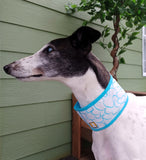 NEW! Ruffwear Swamp Cooling Neck Gaiter