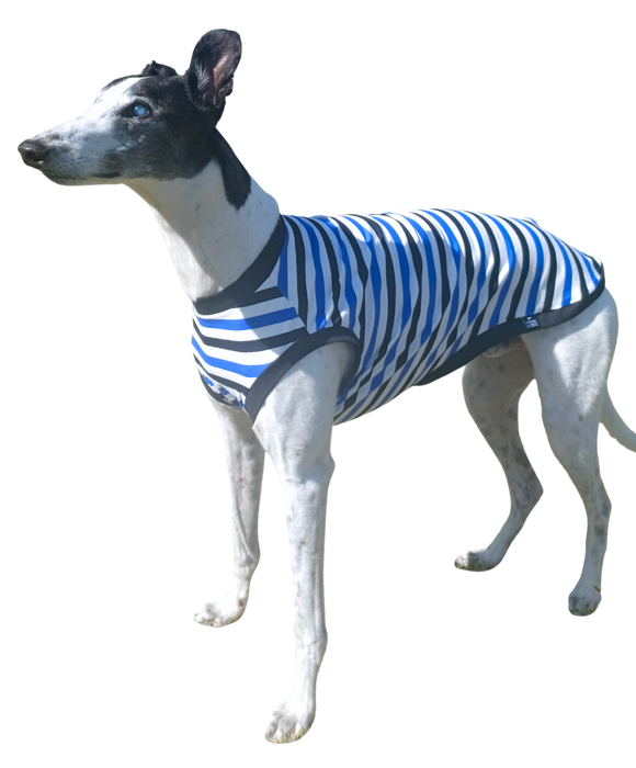 NEW! Summer T-Shirt - Blue, Black & White Stripes