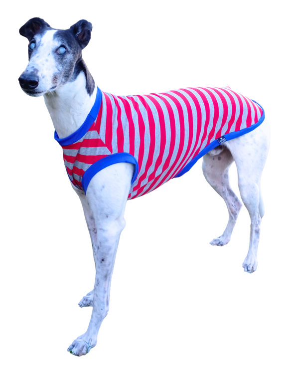 NEW! Summer T-Shirt - Red & Grey Marle Stripes