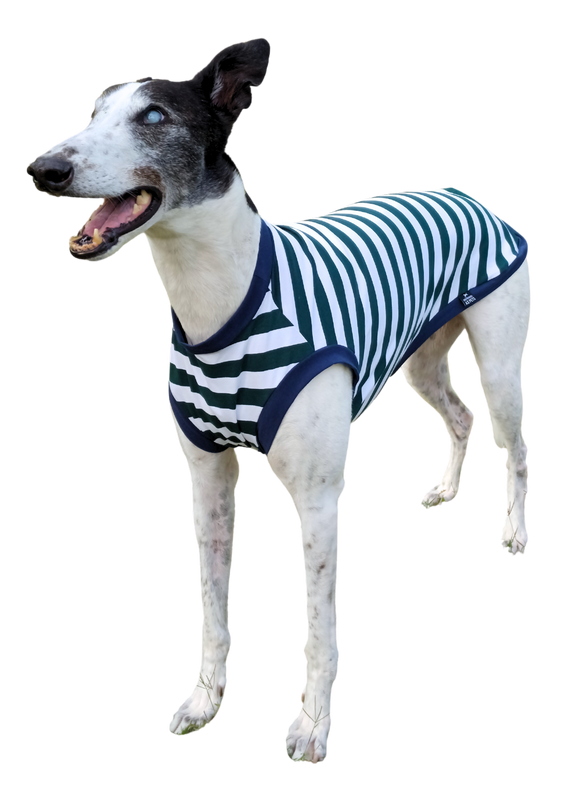 NEW! Summer T-Shirt - Bottle Green Stripes