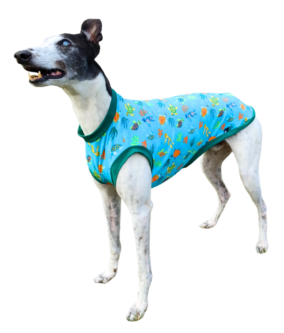 NEW! Summer T-Shirt - Turtles!